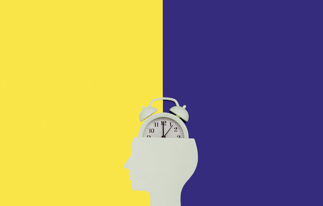 Circadian Rhythm 101_Everything You Need to Know